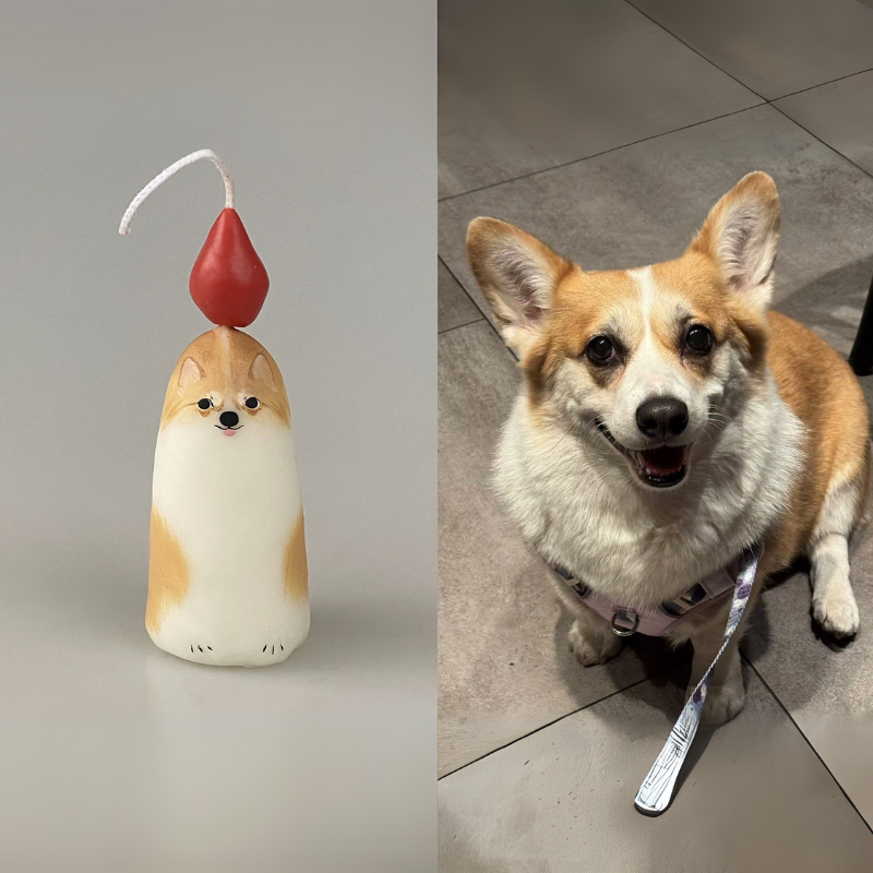 HOTPET-custom pet candle