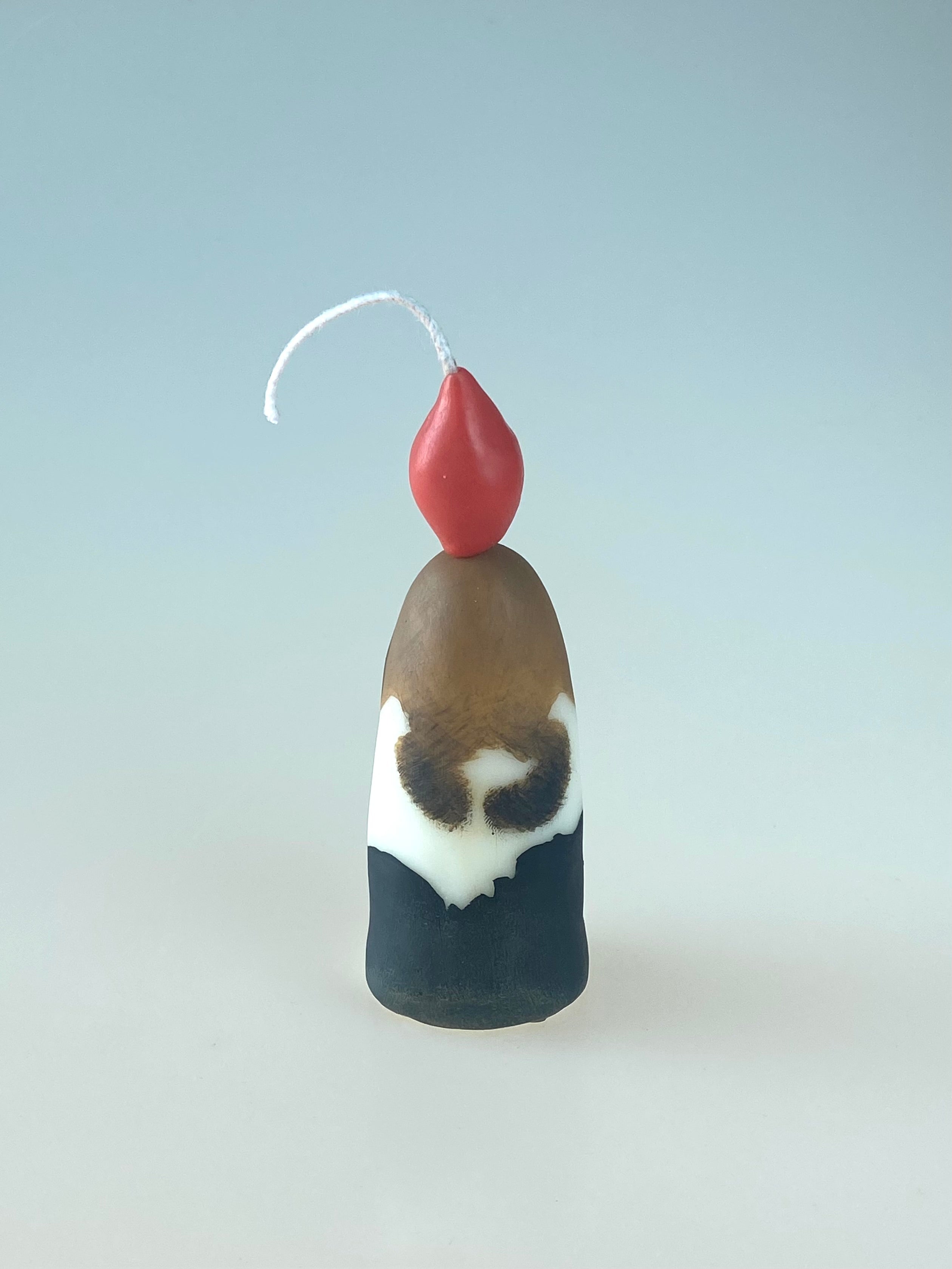 Pet candle